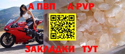 амф Гай