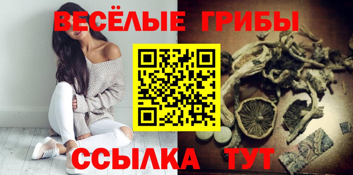 Псилоцибиновые грибы MAGIC MUSHROOMS Гурьевск
