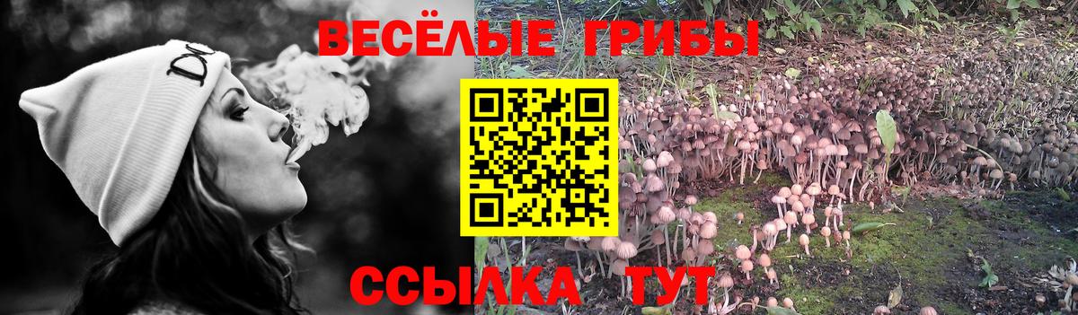 Галлюциногенные грибы Psilocybine cubensis  Псилоцибиновые грибы Psilocybe  Вход с VPN  Гурьевск 