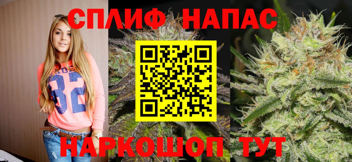 Канабис сатива Гурьевск